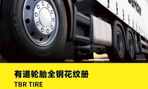Lốp xe Eudemon Long Thành